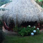 Buddy's-hostel-pousada