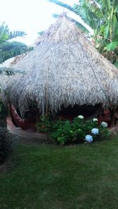 Buddy's-hostel-pousada