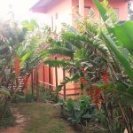 Chapada dos Veadeiros 7 dias Buddy's hostel e pousada
