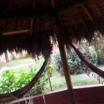 Buddy's-hostel-pousada