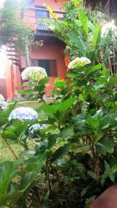 buddy´s-hostel-e-pousada