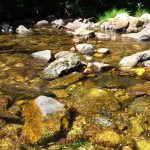 Trilha Cachoeira Segredo