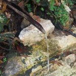 Trilha Cachoeira Segredo