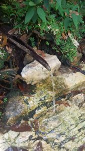 Trilha Cachoeira Segredo