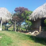 Cachoeira dos Cristais
