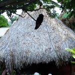 Buddy's-hostel-pousada