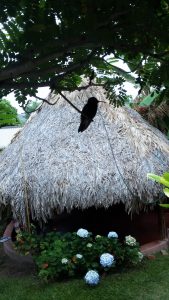 Buddy's-hostel-pousada