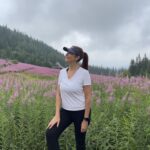 Hala Gąsienicowa3 - Zakopane