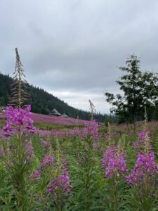 Hala Gąsienicowa - Zakopane